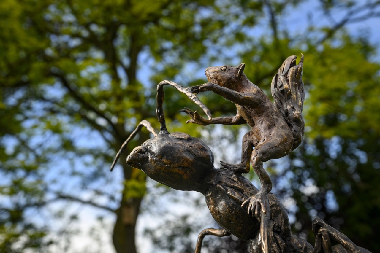 DSC_5936_web